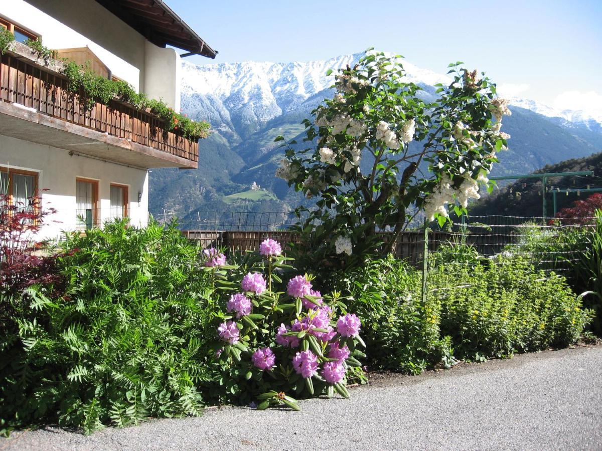 Schlosshof Zu Montani Morter Экстерьер фото